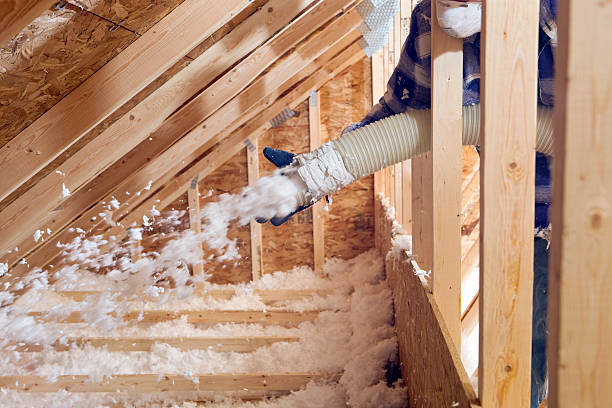 Best Commercial Insulation Services  in Goulds, FL